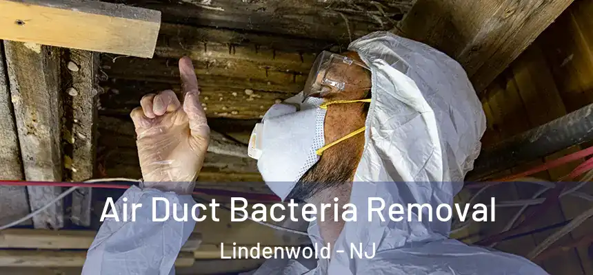  Air Duct Bacteria Removal Lindenwold - NJ