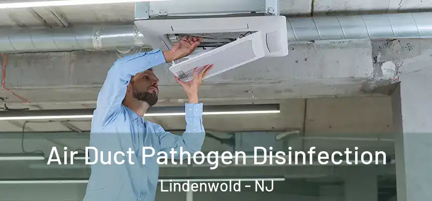  Air Duct Pathogen Disinfection Lindenwold - NJ
