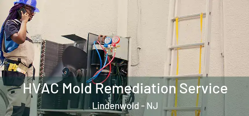  HVAC Mold Remediation Service Lindenwold - NJ