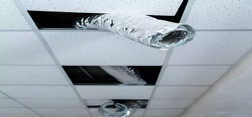 Affordable HVAC Sanitizing After Pest Removal in Lindenwold