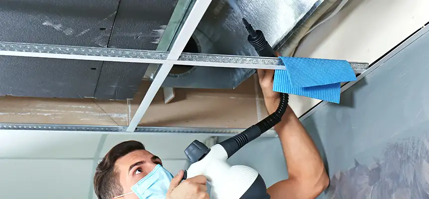 Our Air Duct Rodent Removal Services in Lindenwold, NJ