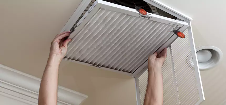 Our Insect Removal from Air Ducts Services in Lindenwold, NJ