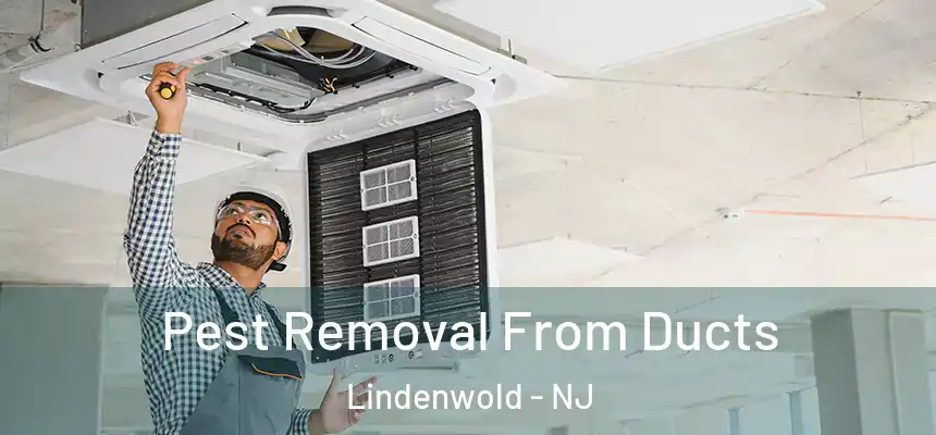  Pest Removal From Ducts Lindenwold - NJ