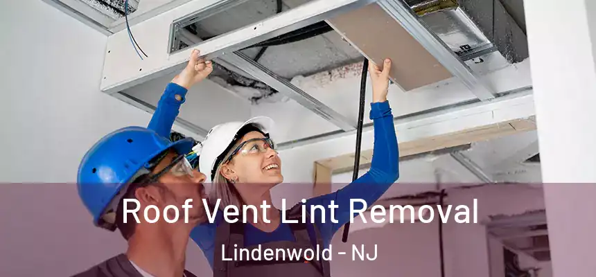  Roof Vent Lint Removal Lindenwold - NJ