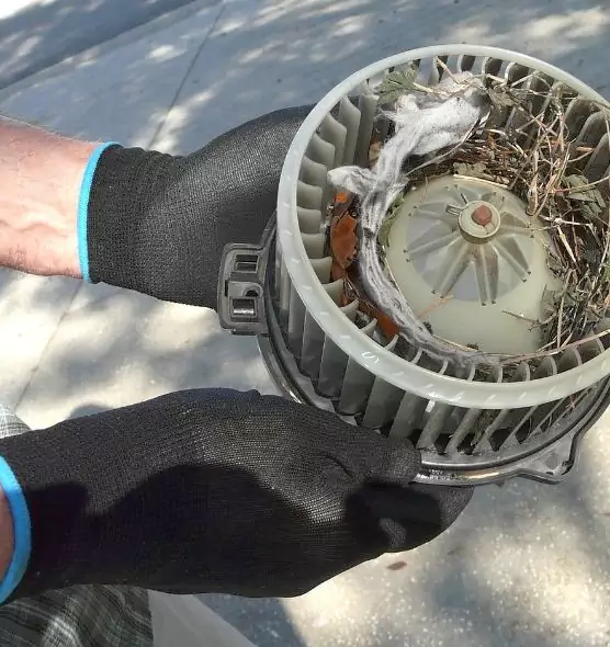 About Air Duct Mice Removal in Lindenwold, NJ