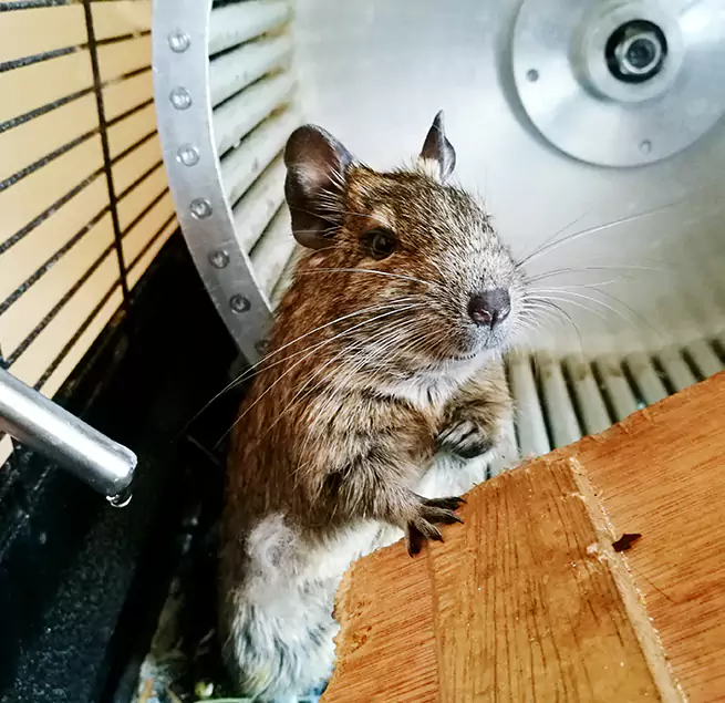 Why Homeowners & Businesses Trust Us Lindenwold, NJ?