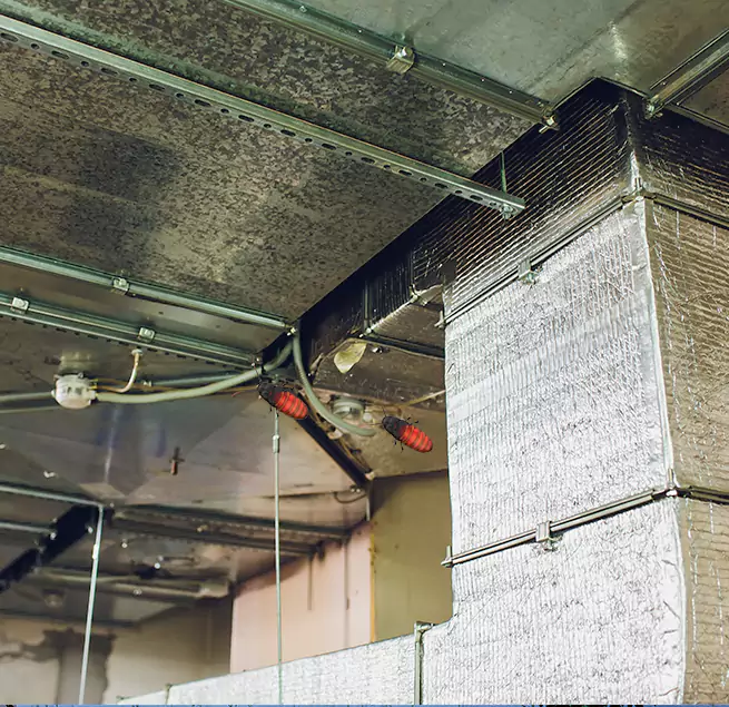 Why Homeowners & Businesses Trust Us Lindenwold, NJ?